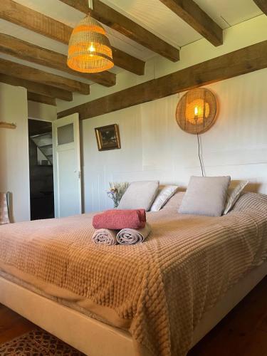 a bedroom with a large bed with two pillows at Le maison sour les ailes in Cossaye