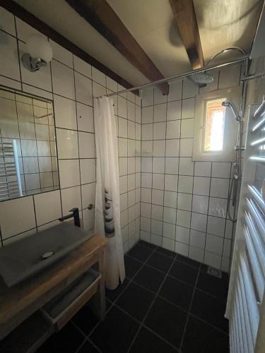 a bathroom with a sink and a shower with a shower curtain at Le maison sour les ailes in Cossaye