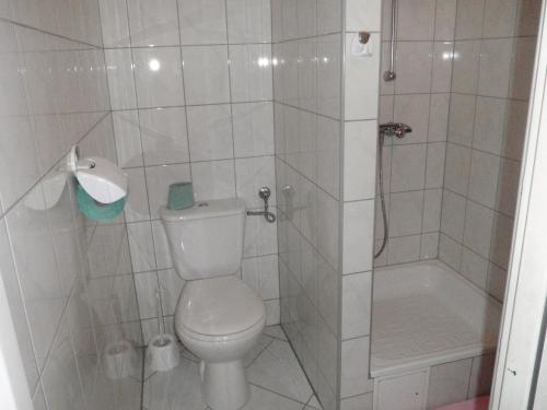 a white bathroom with a toilet and a shower at Willa Cachro in Zakopane