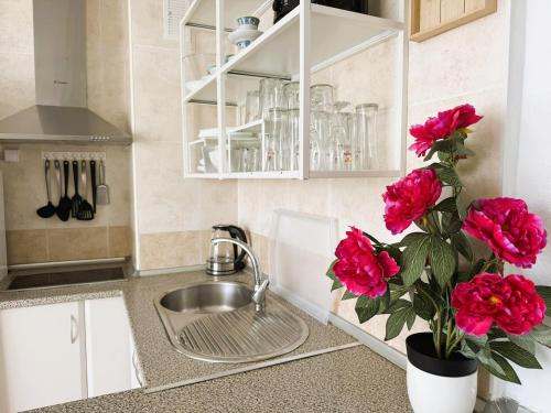 Sunny & Central Beach Apartment