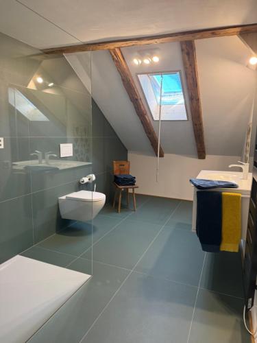a bathroom with a sink and a toilet in a attic at Dachboden Loft in Laax