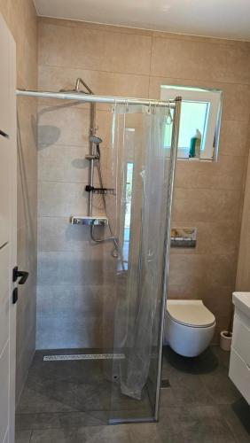 a bathroom with a glass shower with a toilet at Villa DARIAN in Sukošan