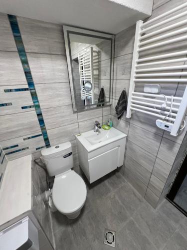 a bathroom with a toilet and a sink and a mirror at Къща за гости Зафирови in Ribarica