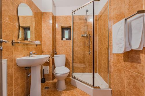 a bathroom with a toilet and a shower and a sink at Casa Vlasin in Poiana Brasov