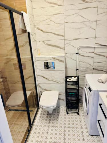 a bathroom with a toilet and a washing machine at Zaczarowana Rotmanka in Rotmanka