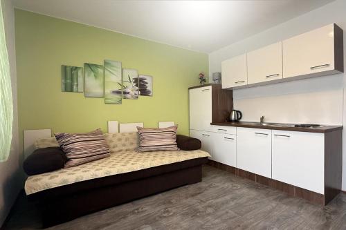 a living room with a couch and a kitchen at ASGARD Guesthouse in Josipdol