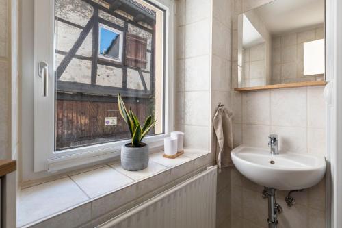 a bathroom with a sink and a window with a plant at Fewo in der Altstadt - Enz in Bietigheim-Bissingen