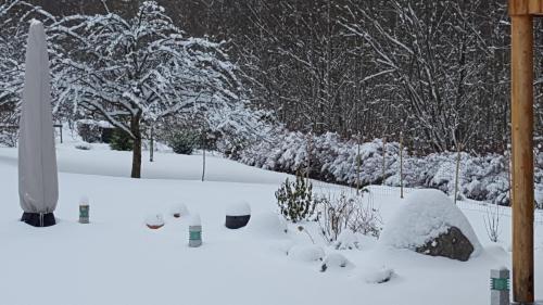 Le Clos des Aulnes – Photos 4