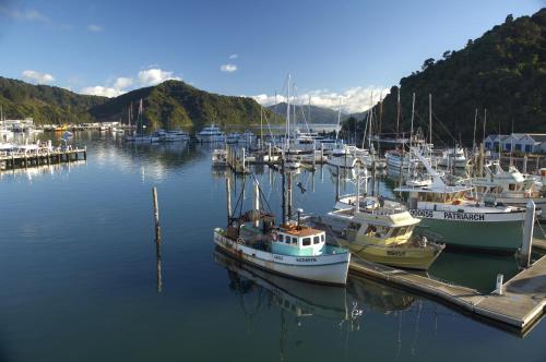 a bunch of boats docked in a harbor at Edit Picton in Picton