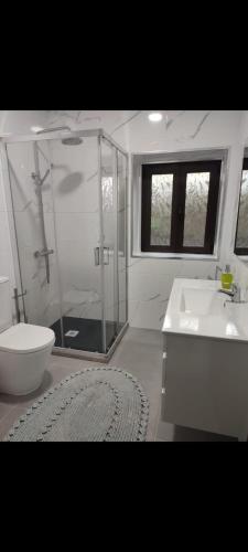 a bathroom with a shower and a toilet and a sink at Casa do Centro - Alojamento Local in Vieira do Minho