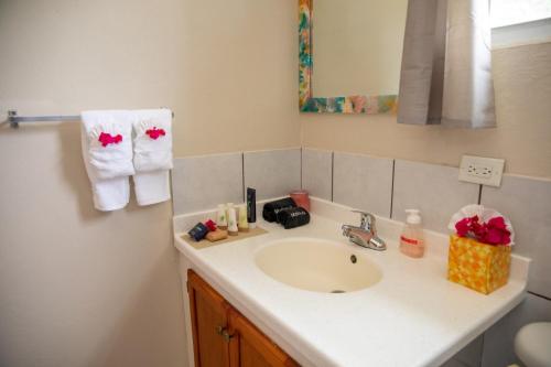 a bathroom counter with a sink and a mirror at Neem View Apartments - Studio in Falmouth