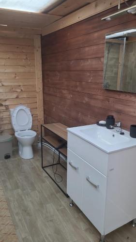 a bathroom with a toilet and a sink and a mirror at Cabanuta Din Deal in Racoviţa