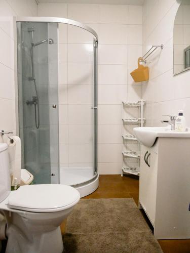 a bathroom with a shower and a toilet and a sink at Dom jednorodzinny NOWA in Dęblin