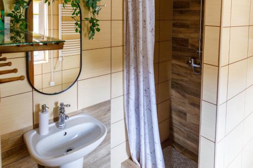 a bathroom with a sink and a shower at Szyszkowy Domek in Milejczyce