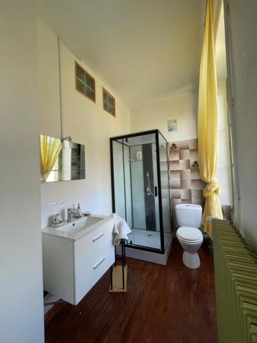 a bathroom with a toilet and a sink and a mirror at Chambre d'Hôte des Arcs in Coulonces