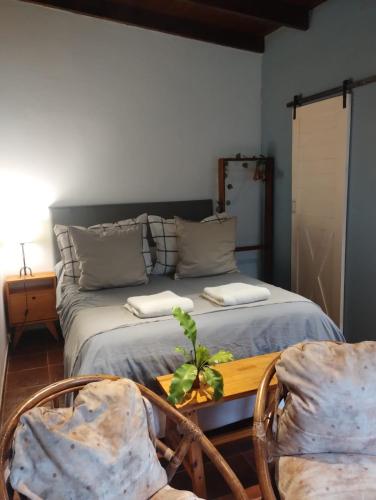 a bedroom with a bed with a table and two chairs at La Adelita in Chascomús