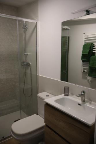 a bathroom with a shower and a toilet and a sink at Xeitosa II, en el centro de Vigo in Vigo