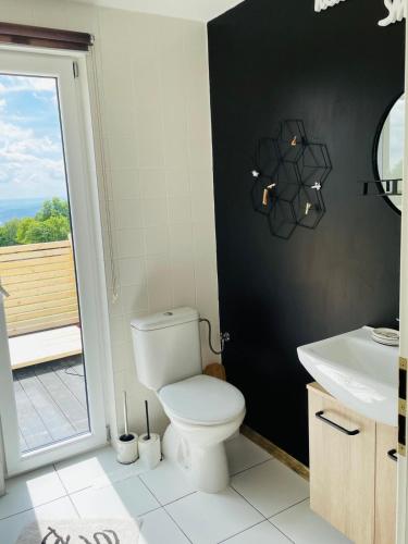 a bathroom with a toilet and a sink and a window at Sedlinka Klíny in Klíny