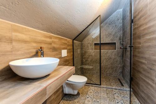 a bathroom with a sink and a toilet and a shower at Gomén in Eger