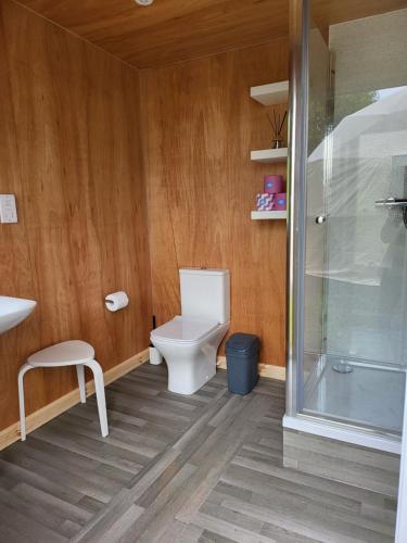 a bathroom with a toilet and a glass shower at Pen-Y-Fan Glamping - Luxury Geodomes in Sennybridge