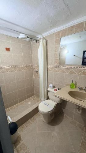 a bathroom with a toilet and a sink and a shower at Tour La Matrona in Villa de Leyva