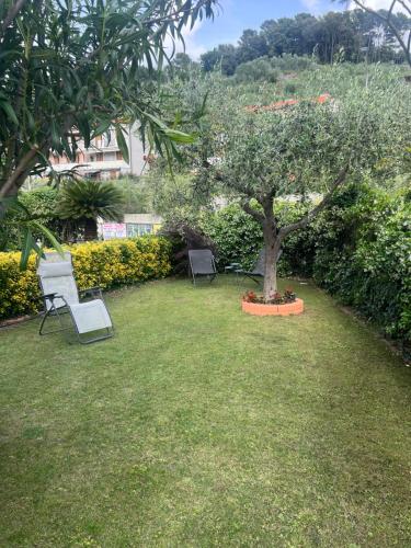 a garden with two chairs and a tree in the grass at Casa Alma in Sestri Levante