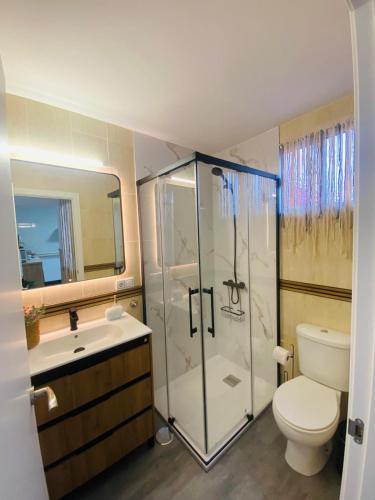 a bathroom with a shower and a toilet and a sink at Casa Cañailla in El Rompido