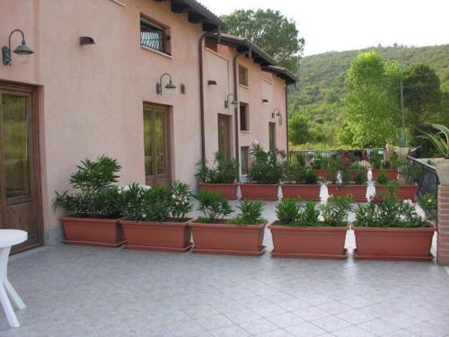 a group of plants in pots in front of a building at Agriturismo solare in Perito