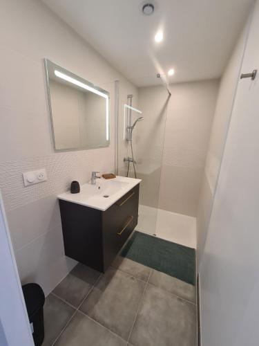 Avignon Intra-Muros Apartment