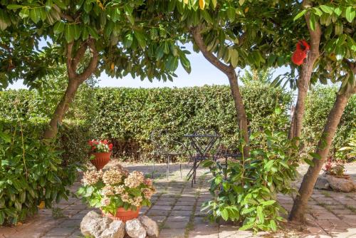a garden with two potted plants and trees at Artisti Del Cavallo Tourism in Foiano della Chiana