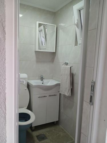 a small bathroom with a toilet and a sink at Idiličan brijeg in Višegrad