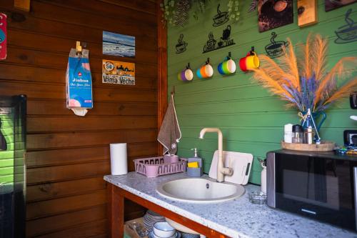 a kitchen with a sink and a microwave at Vama 22- Vama Veche in Vama Veche