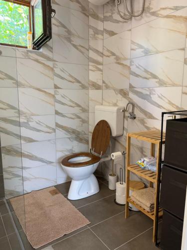 a bathroom with a toilet in a room at Tri topole Brioni in Kočino Selo