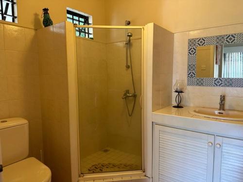 a bathroom with a shower and a toilet and a sink at Dodo Casita House in Tamarin
