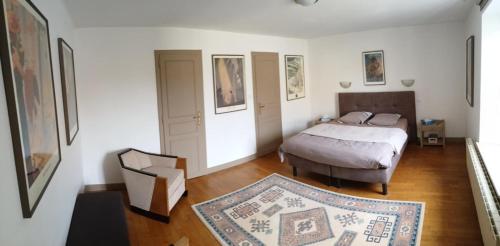 a bedroom with a bed and a rug at La grande escapade in Xertigny
