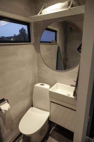 a bathroom with a toilet and a sink and a mirror at Solvesborg Houseboat with Harbour Views - Sleeps 4 in Sölvesborg