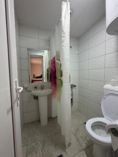 a bathroom with a sink and a toilet and a mirror at Blue Eye in Vusanje
