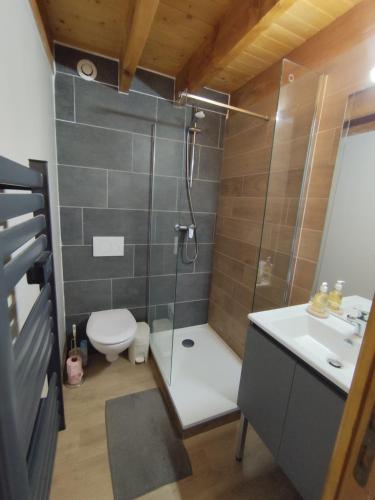 a bathroom with a shower and a toilet and a sink at L'Esprit Chalet in Ustou