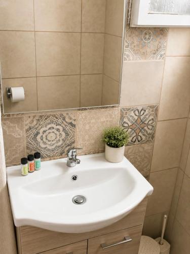 a bathroom sink with a potted plant on it at Aether seaview in Benitses
