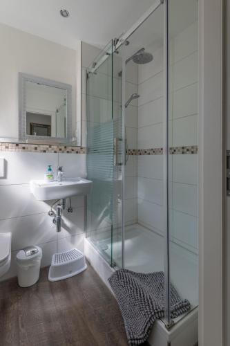 ein Badezimmer mit Glasdusche und Waschbecken in der Unterkunft Harzer-Geißen Lounge in Hohegeiß