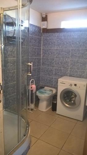 ein Badezimmer mit einer Waschmaschine und einem WC in der Unterkunft Le Longani in Rivière