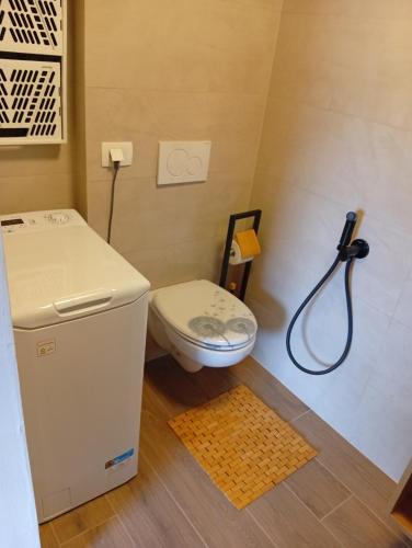 a bathroom with a toilet and a shower at Studio pr Vok in Lesce