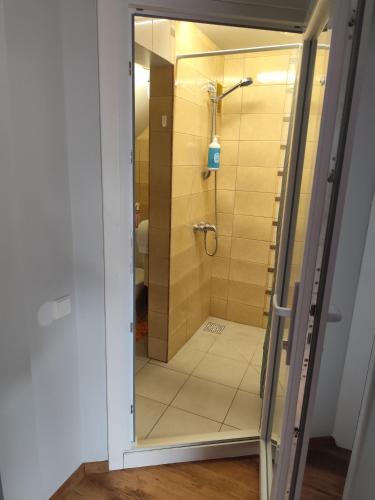 a shower with a glass door in a bathroom at Centro-loftas in Telšiai