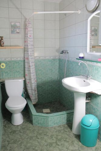 a bathroom with a shower and a toilet and a sink at Dworek in Swarzewo