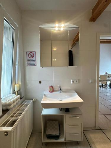 a bathroom with a sink and a mirror at Ferienwohnung Loft ca. 45 qm in Anröchte