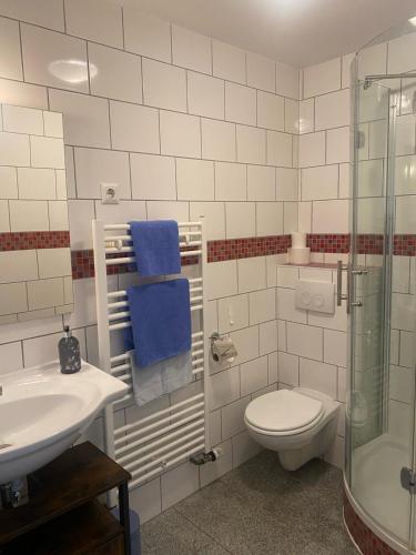 a bathroom with a toilet and a sink and a shower at Stadtdomizil in Augsburg