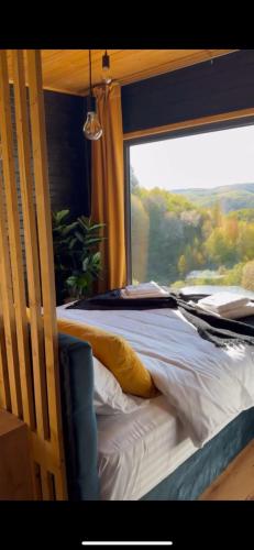 a bed in a room with a large window at Pitoresc Cabin in Tranisu