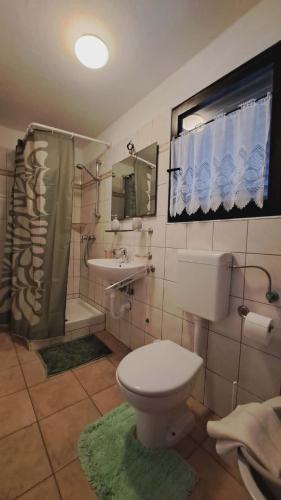a bathroom with a toilet and a sink and a shower at Apartment Viola - Pavićini, Duga Uvala in Krnica