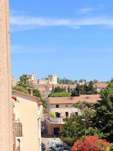 Appartement climatisé proche du Palais des Papes
