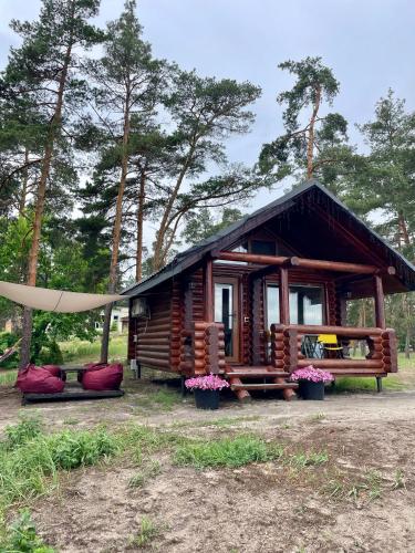 a log cabin with a hammock in front of it at Spokiy in Glebovka